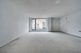 ����� ������� �������,���� �����, �����