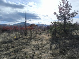 ������� ������ | Imot.bg � ����� ������ 6