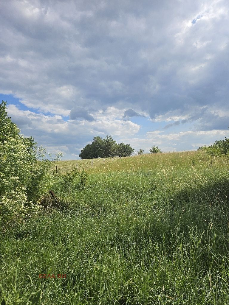 In vendita  Complotto regione Pernik , Slakovtsi , 2200 mq | 31994911 - Immagine [4]
