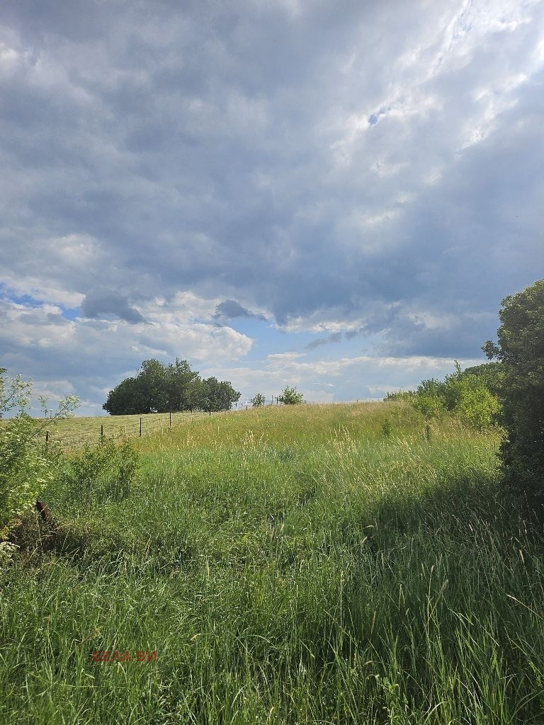 In vendita  Complotto regione Pernik , Slakovtsi , 2200 mq | 31994911 - Immagine [3]