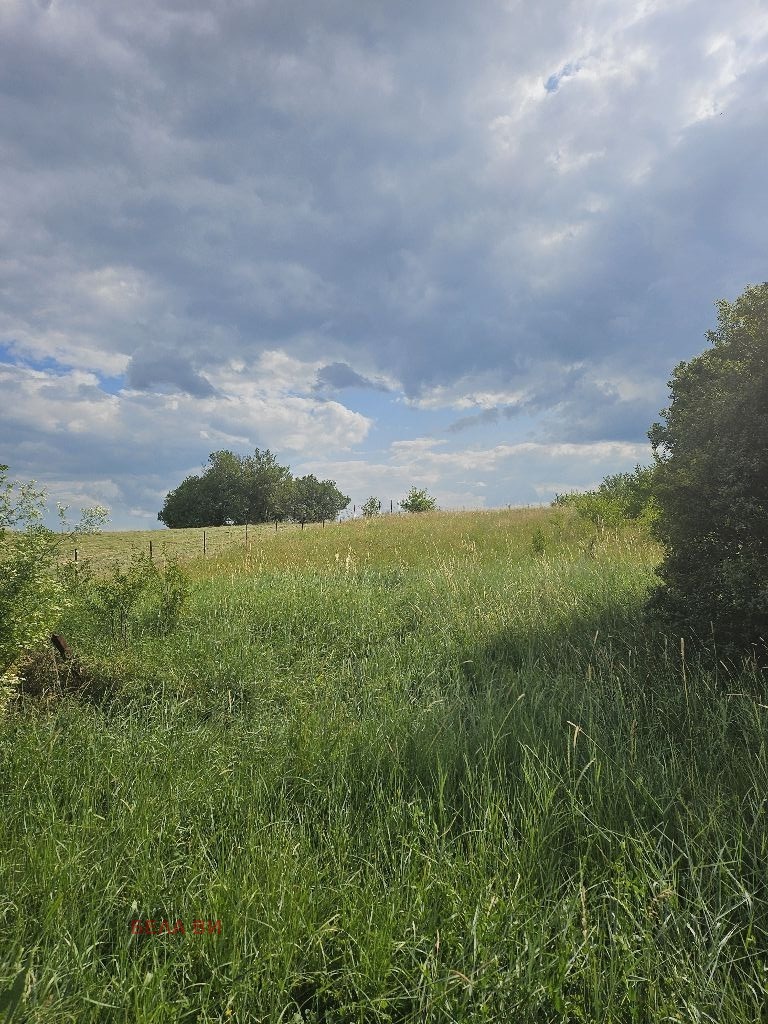 In vendita  Complotto regione Pernik , Slakovtsi , 2200 mq | 31994911 - Immagine [5]