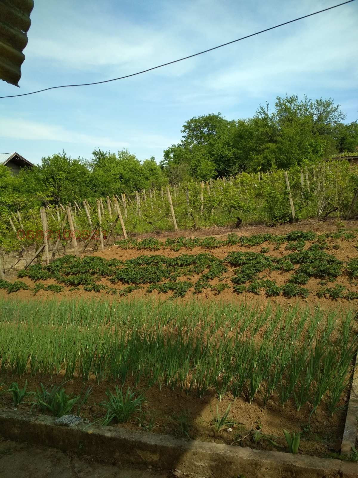 ������� ���� | Imot.bg � ����������� 5