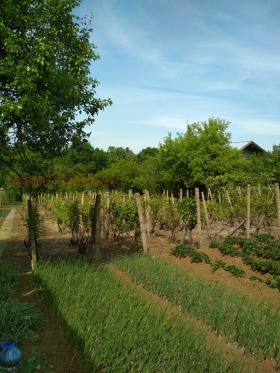 ������� ���� | Imot.bg � ����� ������ 7