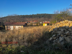 Parcelle Krouchevo, région de Gabrovo 2