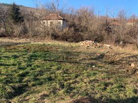 ����� ������� ������,��. ������, ������ �������