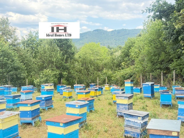 Продава  Къща област Велико Търново , с. Лазарци , 93 кв.м | 25537280 - изображение [14]