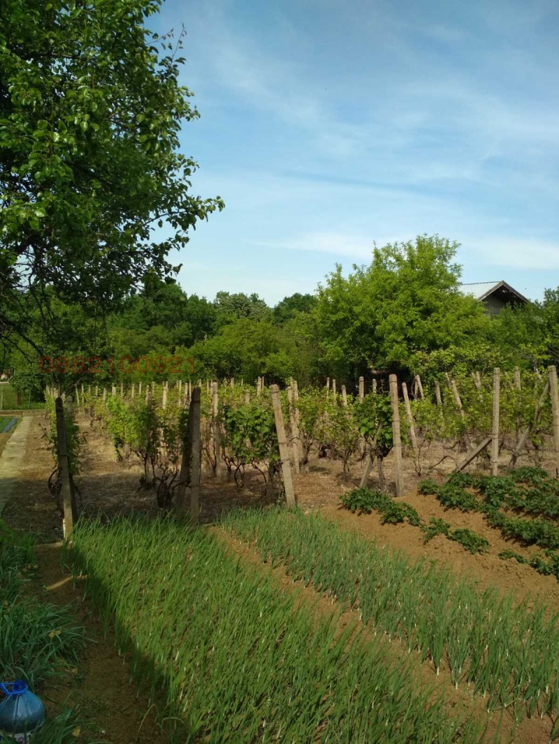 Продава ВИЛА, с. Лиляче, област Враца, снимка 7 - Вили - 53484055