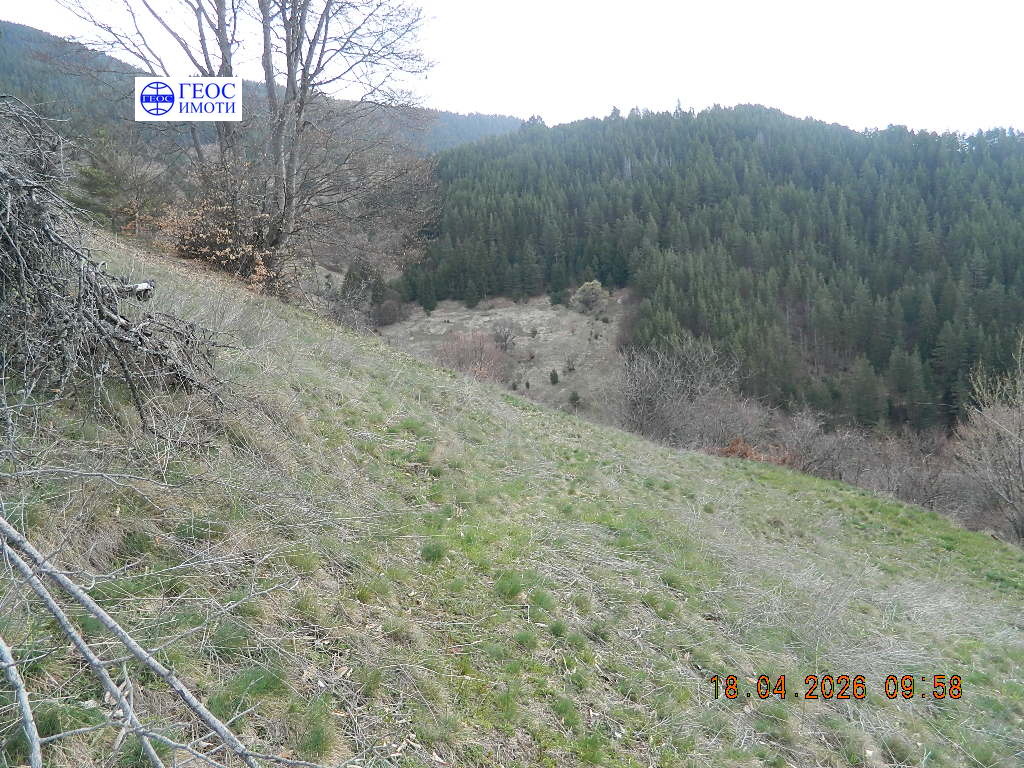 Продава ПАРЦЕЛ, с. Кутела, област Смолян, снимка 2 - Парцели - 55478230