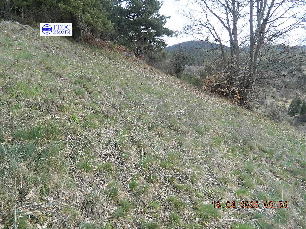 Продава ПАРЦЕЛ, с. Кутела, област Смолян, снимка 4 - Парцели - 55478230