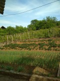 Продава ВИЛА, с. Лиляче, област Враца, снимка 5