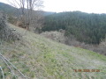 Продава ПАРЦЕЛ, с. Кутела, област Смолян, снимка 2