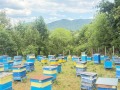 Продава КЪЩА, област Велико Търново, с. Лазарци • 128000 € • 78920305 — Holmes.bg