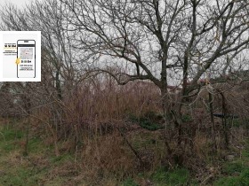 ����� ������� ������,�. �������, ������ ������