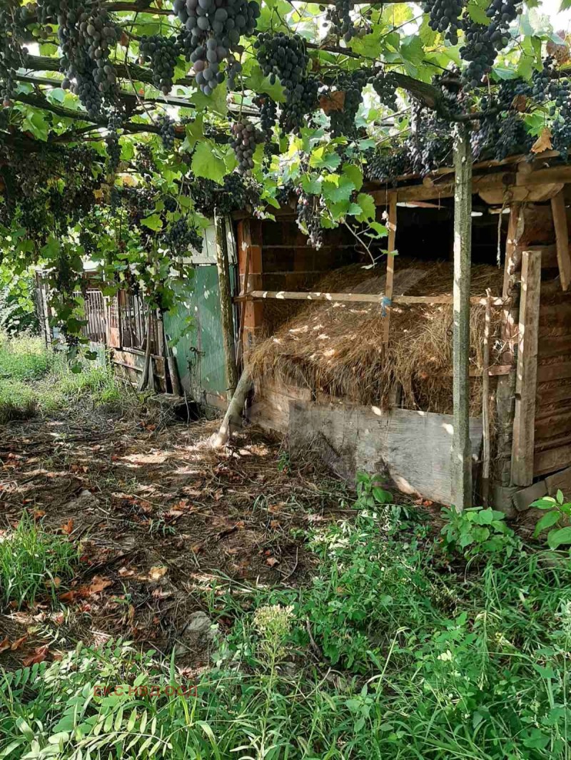 Na prodej  Dům oblast Plovdiv , Čoba , 130 m2 | 56410066 - obraz [2]