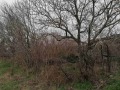 Продава ПАРЦЕЛ, с. Кранево, област Добрич, снимка 1