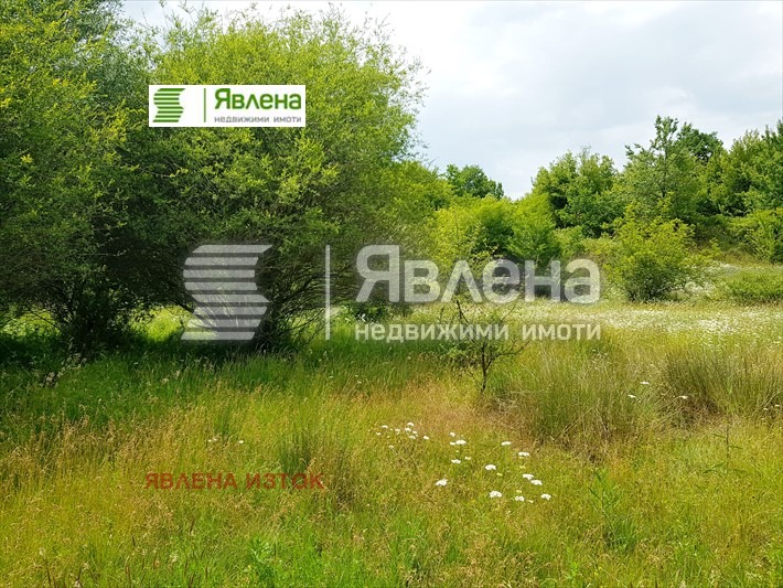 ������� ������ | Imot.bg � ����������� 8