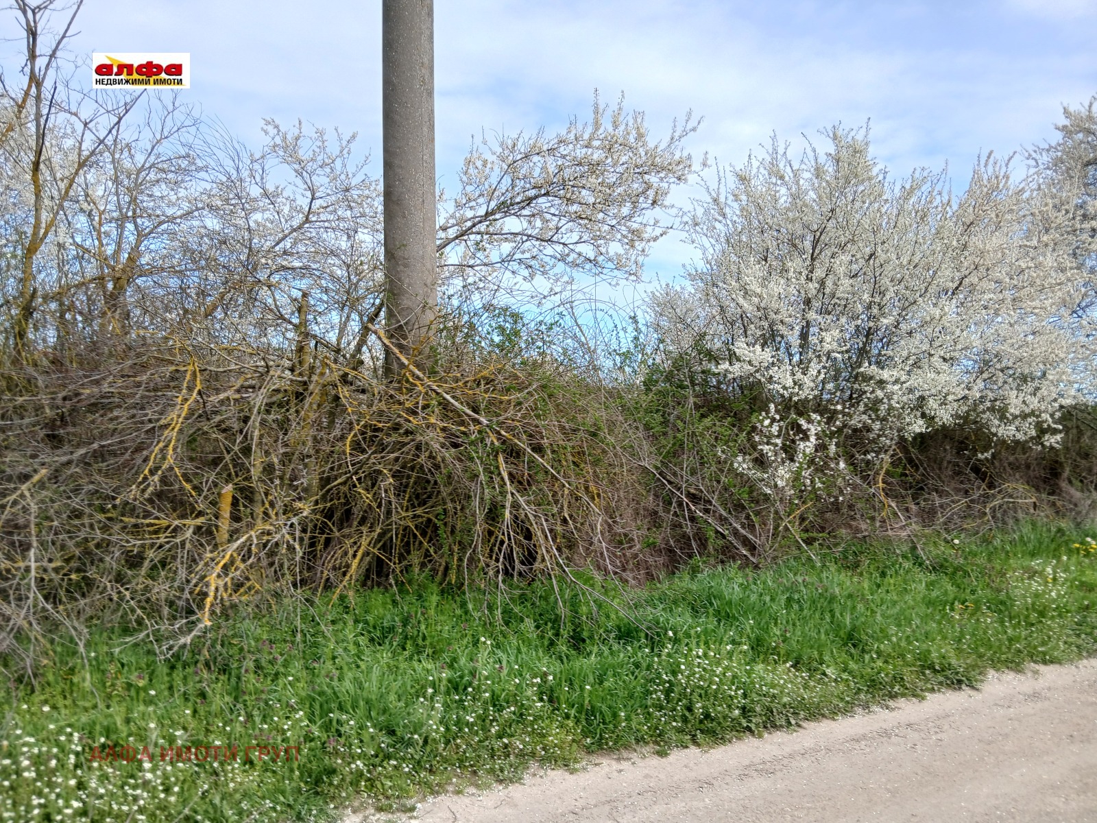 ������� ������ | Imot.bg � ����������� 3