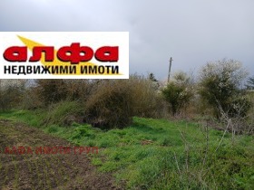 ������ ������� ������