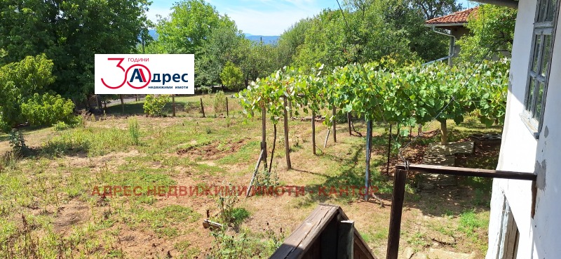 Προς πώληση  σπίτι περιοχή Βέλικο Τάρνοβο , Ελενα , 90 τ.μ | 21509963 - εικόνα [6]