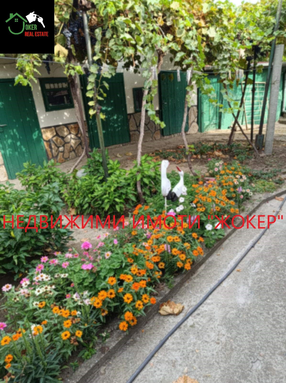 Продава КЪЩА, гр. Свищов, област Велико Търново, снимка 11 - Къщи - 55481616