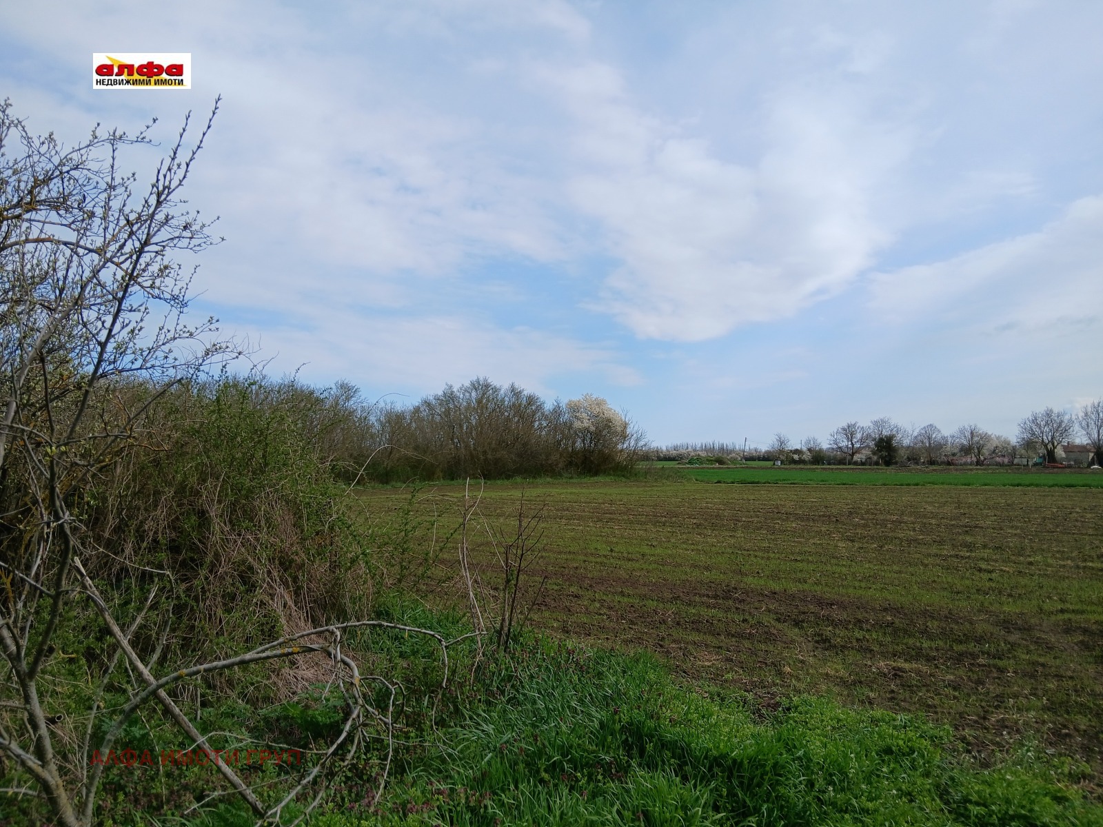 Продава ПАРЦЕЛ, с. Безводица, област Добрич, снимка 2 - Парцели - 54076946