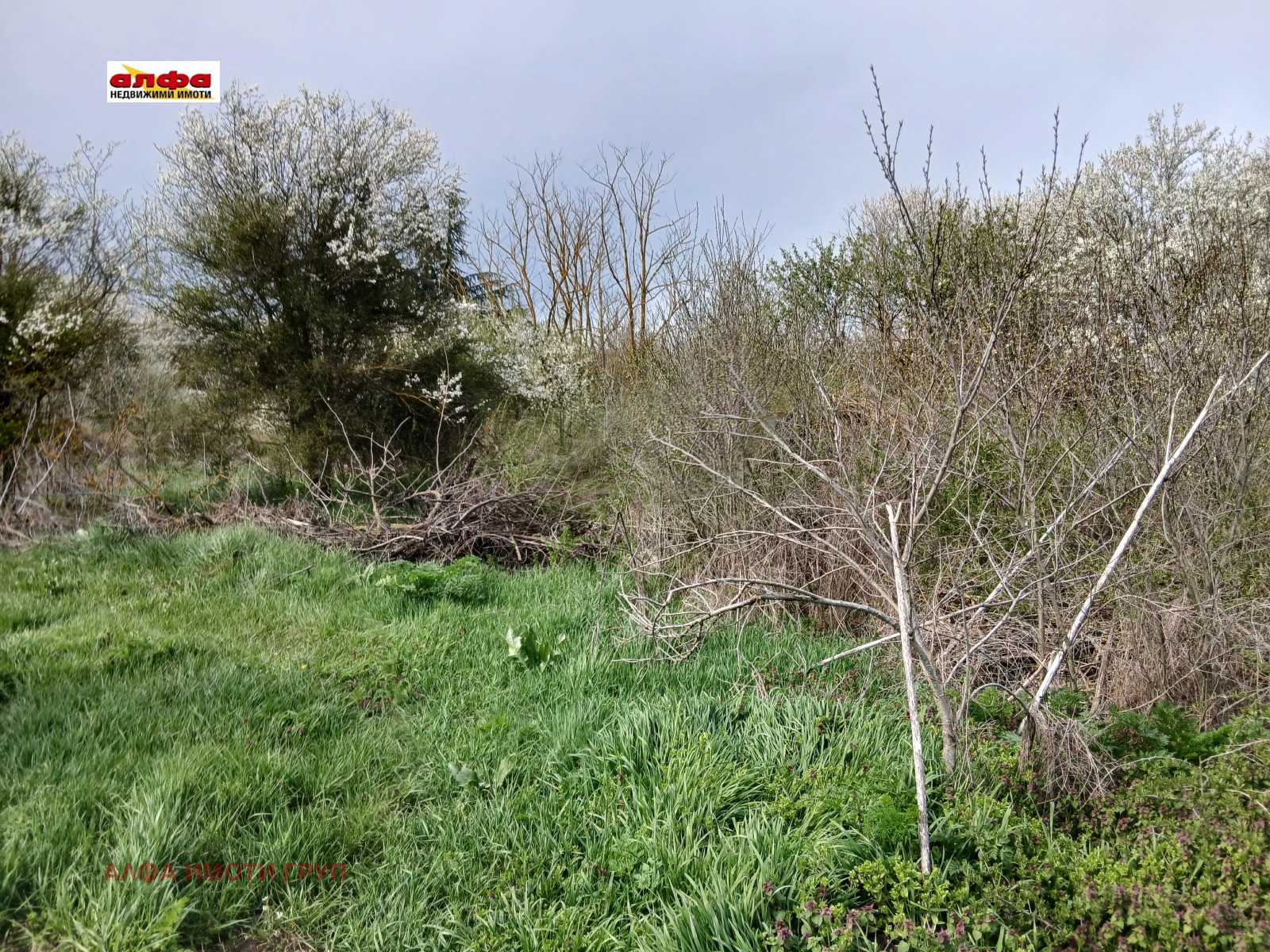 Продава ПАРЦЕЛ, с. Безводица, област Добрич, снимка 6 - Парцели - 54076946