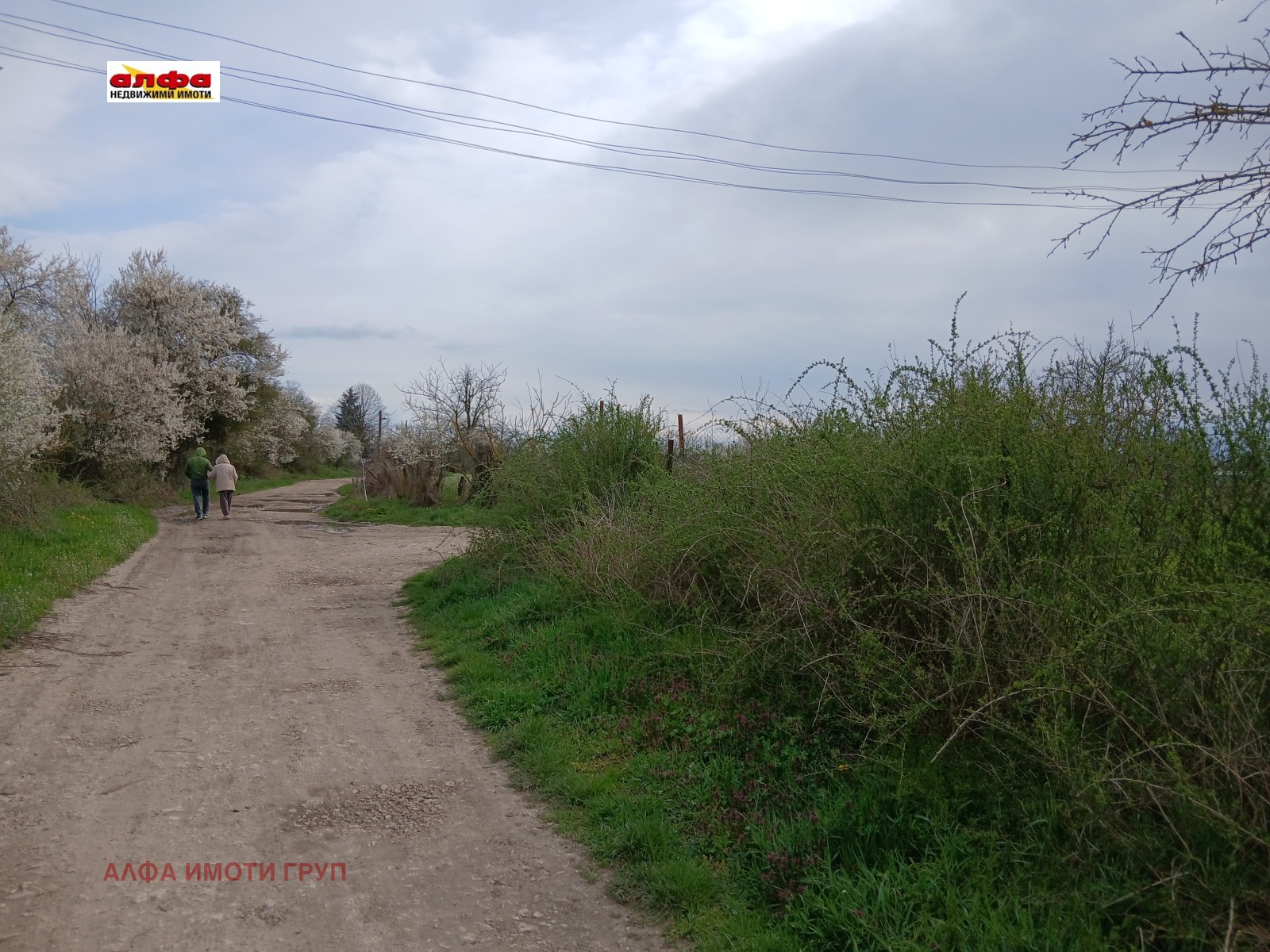 Продава ПАРЦЕЛ, с. Безводица, област Добрич, снимка 5 - Парцели - 54076946