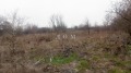 Продава ПАРЦЕЛ, с. Кюлевча, област Шумен, снимка 2