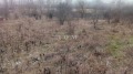 Продава ПАРЦЕЛ, с. Кюлевча, област Шумен, снимка 9
