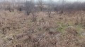 Продава ПАРЦЕЛ, с. Кюлевча, област Шумен, снимка 8