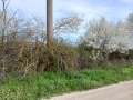 Продава ПАРЦЕЛ, с. Безводица, област Добрич, снимка 3