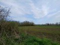 Продава ПАРЦЕЛ, с. Безводица, област Добрич, снимка 2