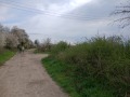 Продава ПАРЦЕЛ, с. Безводица, област Добрич, снимка 5