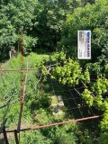 Продава ЕТАЖ ОТ КЪЩА, град Пазарджик, Център • 110000 € • 66728228 — Holmes.bg