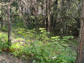 ������� ������ | Imot.bg � ����� ������ 2