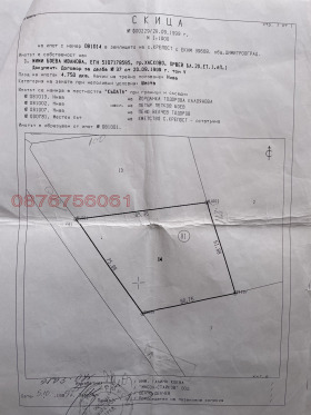 ����� ������� ���������� ����,�. �������, ������ �������