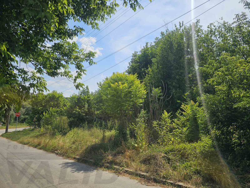 Продава  Парцел, област Русе, с. Писанец • 9 000 EUR • ID 91346734 — holmes.bg - [1] 