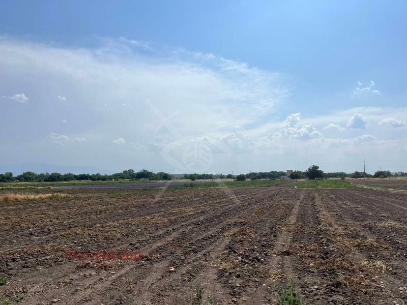 For Sale  Plot region Plovdiv , Tsaratsovo , 1000 sq.m | 92811019