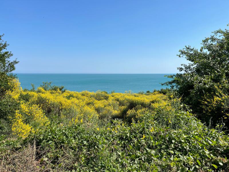 ������� 4-����� | Imot.bg � ����������� 17