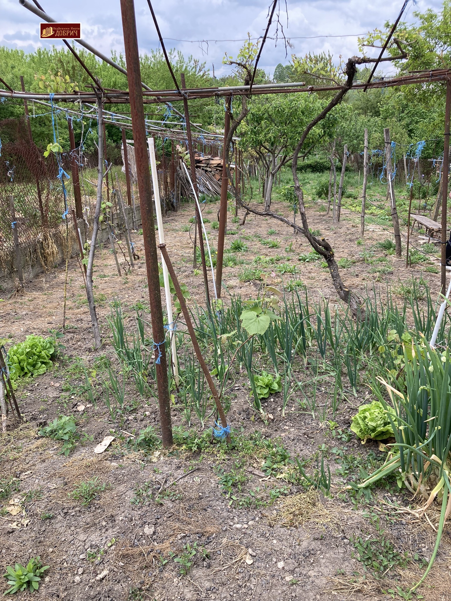 ������� ���� | Imot.bg � ����������� 6