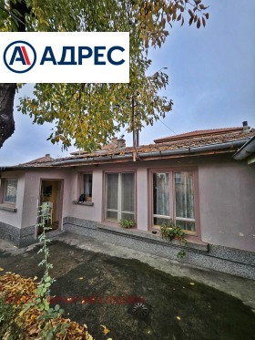 ����� ������� ���� �� ����,���� ������, ���������