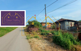 ������ ������� ����