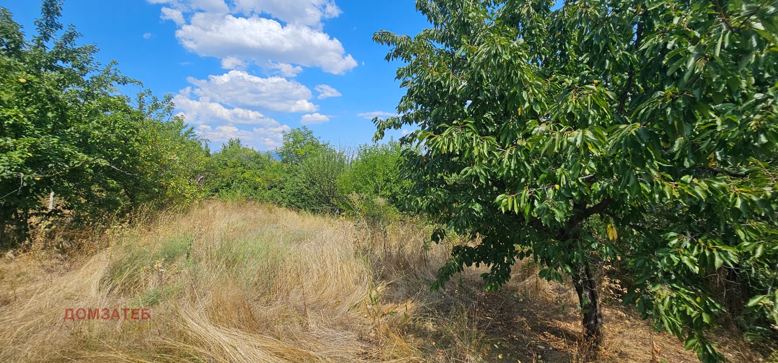 Продава КЪЩА, с. Слокощица, област Кюстендил, снимка 8 - Къщи - 55612273
