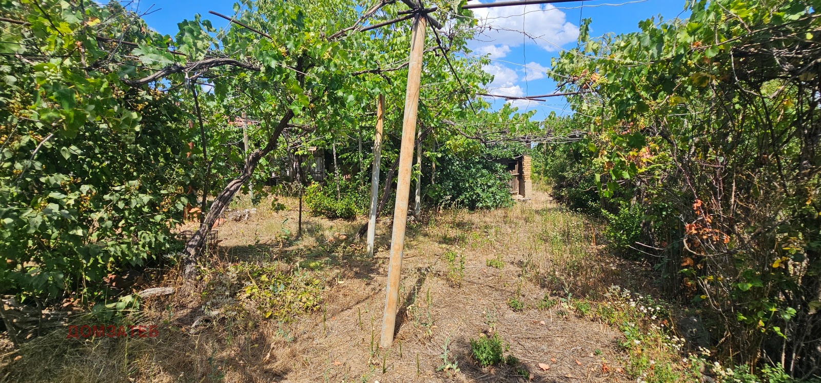 Продава КЪЩА, с. Слокощица, област Кюстендил, снимка 9 - Къщи - 55612273