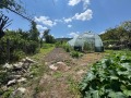 Продава КЪЩА, с. Градище, област Шумен, снимка 3