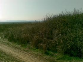 ������� ������ | Imot.bg � ����� ������ 5