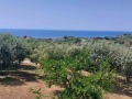 Продава КЪЩА, Гърция, Кавала • 290000 € • 24161769 — Holmes.bg
