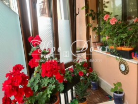 ������� 2-����� | Imot.bg � ����� ������ 9