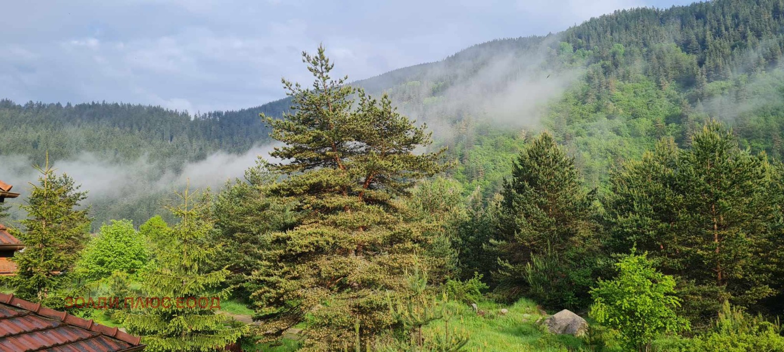 ������� 3-����� | Imot.bg � ����������� 8