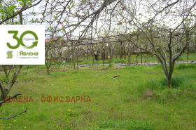 Плот Константиново, Варна 1